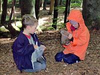 (21 von 243) : KIGA Hausen Waldwoche